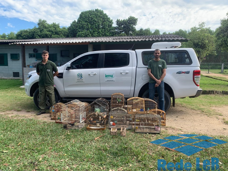 Leia mais sobre o artigo Iema combate cativeiros ilegais de fauna em Aracruz