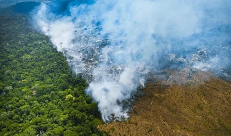 Estudo técnico aponta fragilidades do PL do licenciamento ambiental