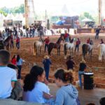 Castelo recebe a XXXV Exposição Estadual do Cavalo Mangalarga Marchador