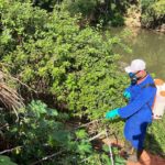 PREFEITURA DE CASTELO INTENSIFICA AÇÃO DE COMBATE AO CARRAPATO TRANSMISSOR DA FEBRE MACULOSA EM ÁREAS DE RISCO
