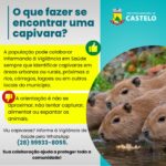 Você viu capivaras? Ajude a Vigilância em Saúde de Castelo
