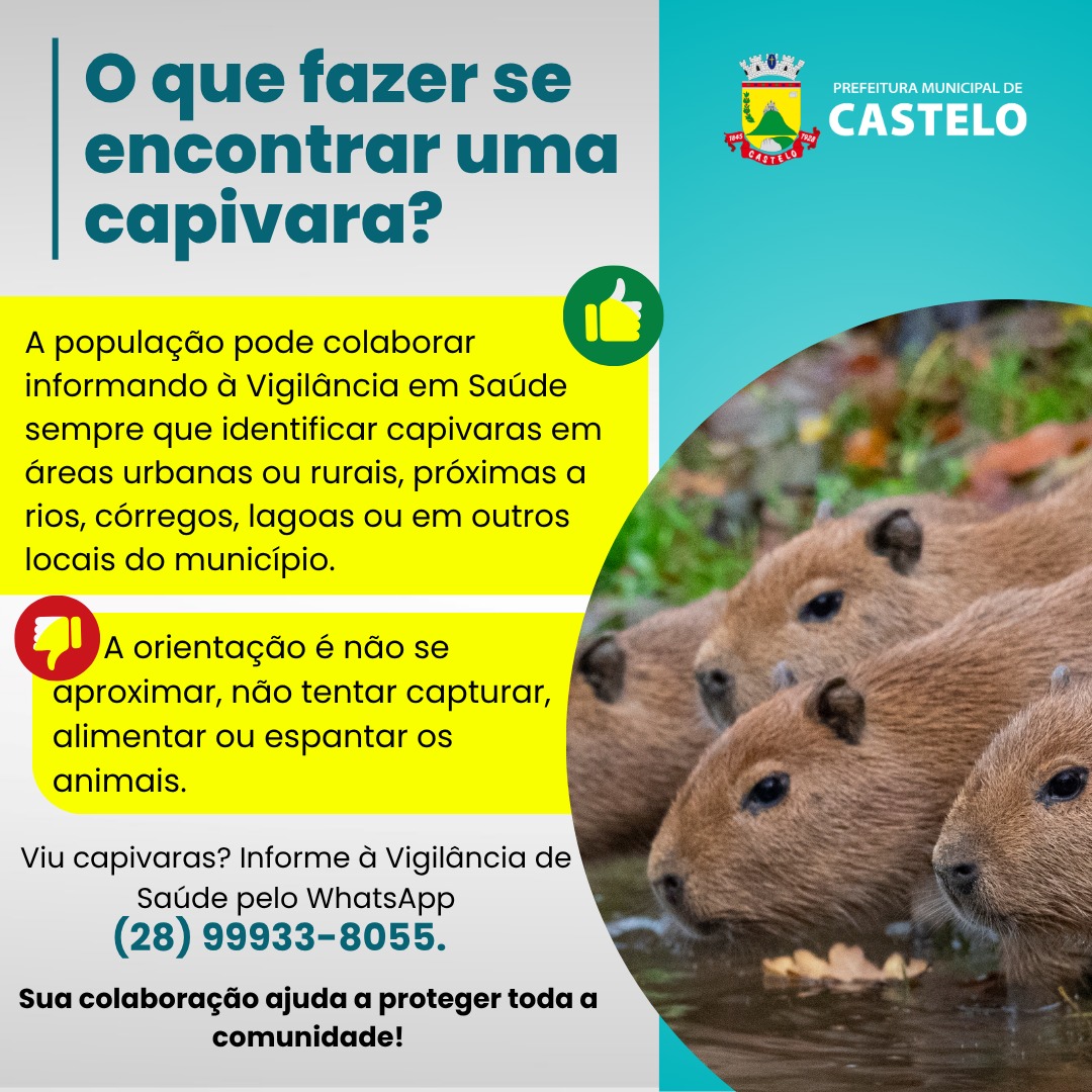 Você viu capivaras? Ajude a Vigilância em Saúde de Castelo
